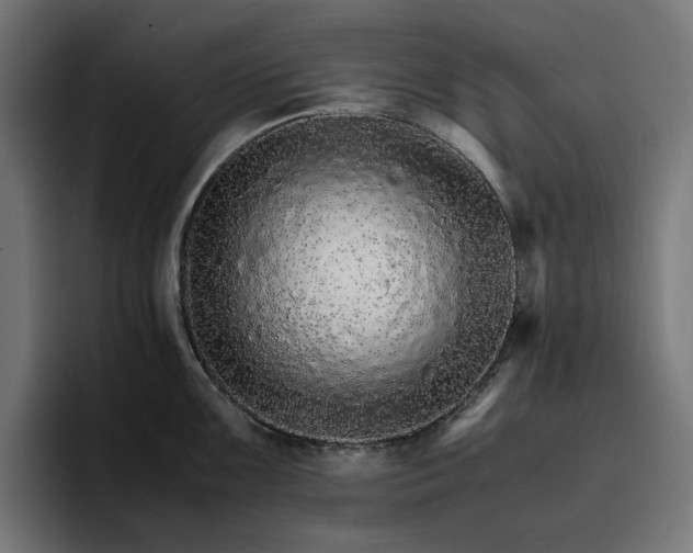 X0000096701099200802191443