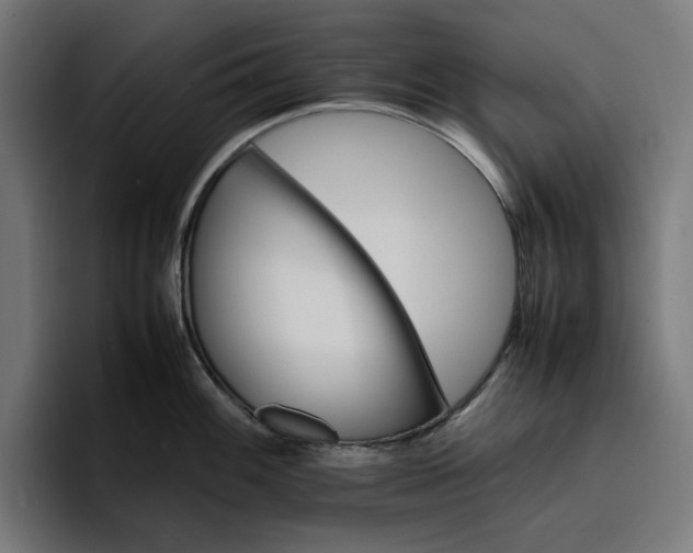 X0000096701100200802191443