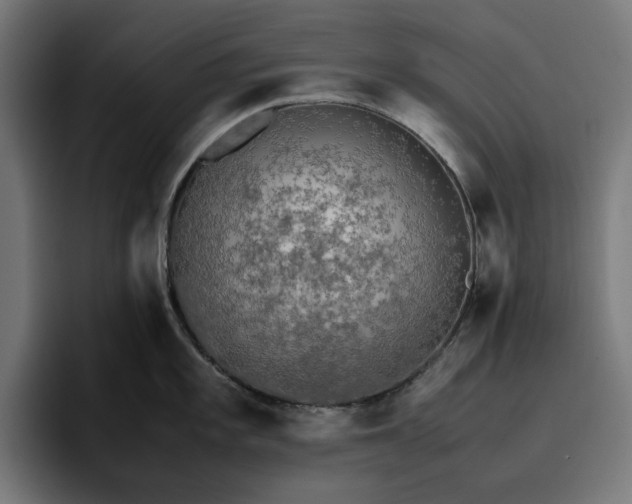 X0000096701101200802191443