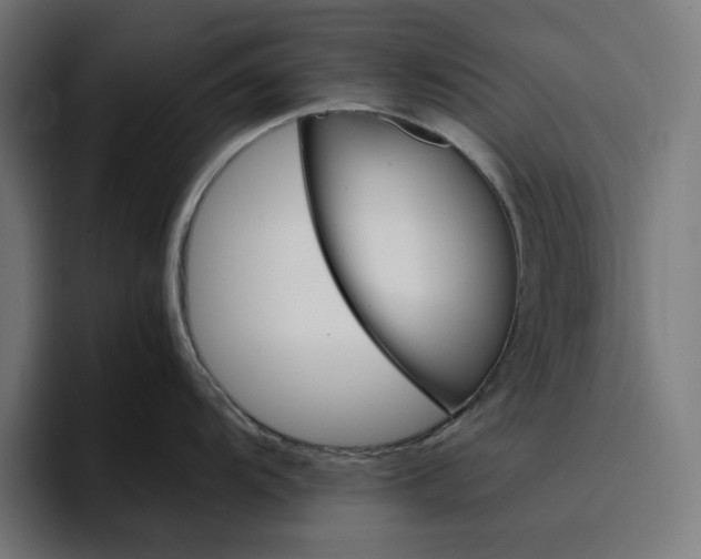 X0000096701104200802191443