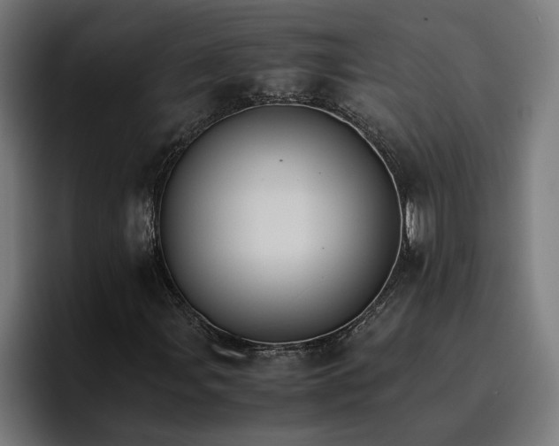 X0000096701107200802191442