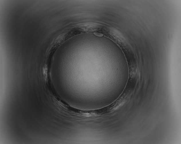 X0000096701108200802191442