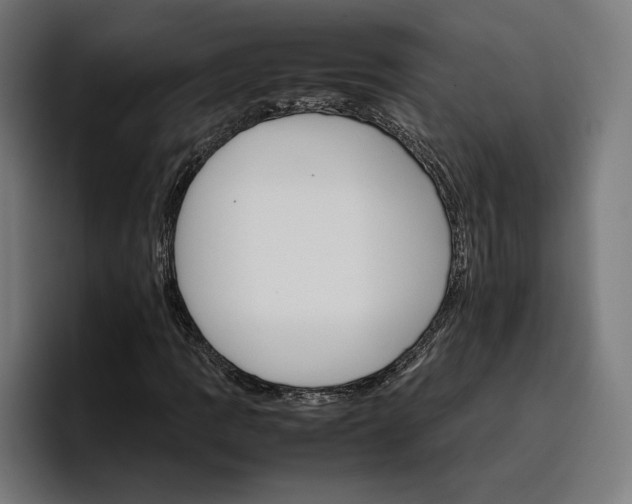 X0000096701109200802191442