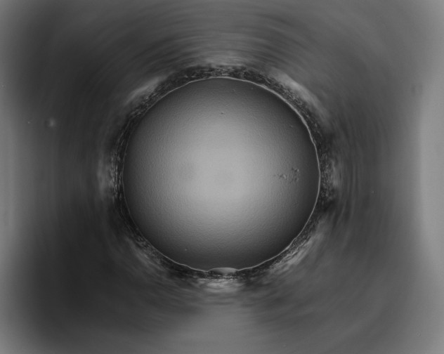 X0000096701110200802191442