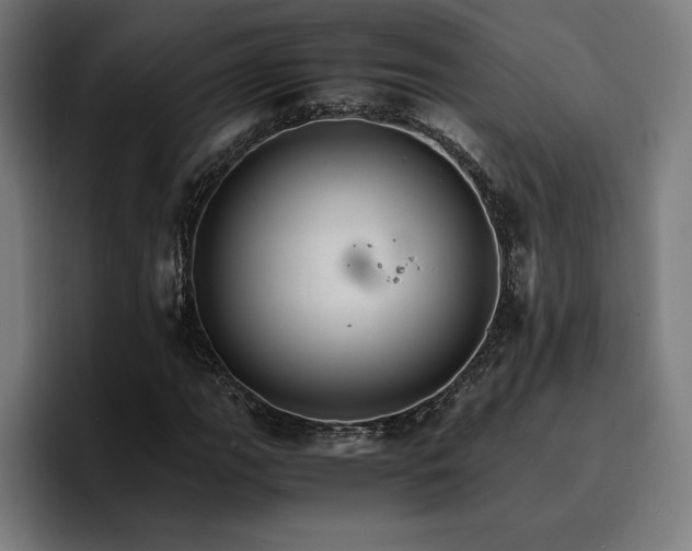 X0000096701111200802191442
