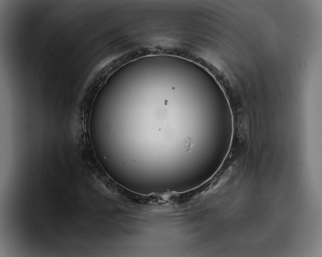 X0000096701112200802191442