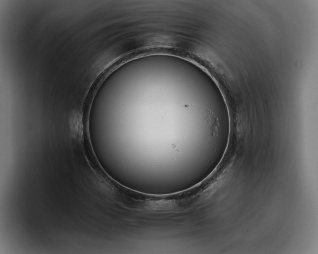 X0000096701113200802191442