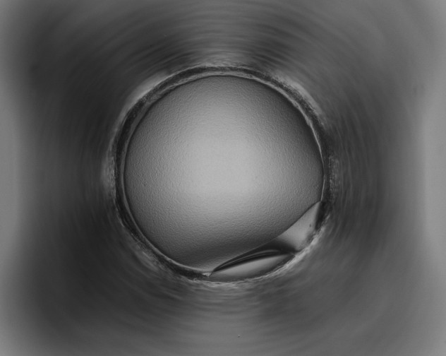 X0000096701114200802191443