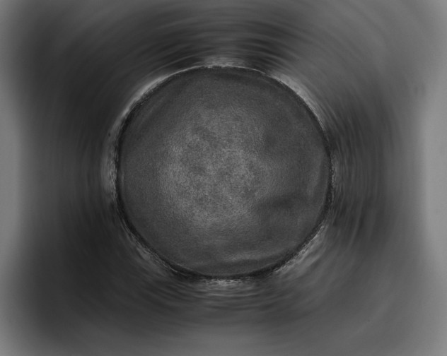 X0000096701115200802191443