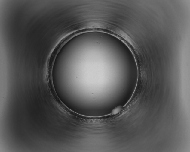 X0000096701116200802191443