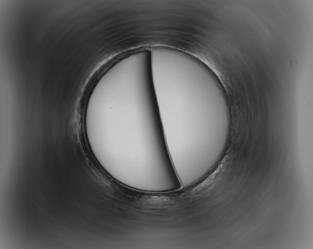 X0000096701119200802191443