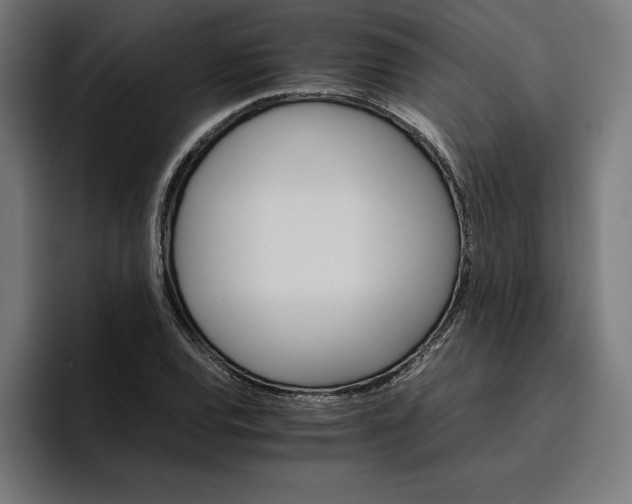 X0000096701120200802191443