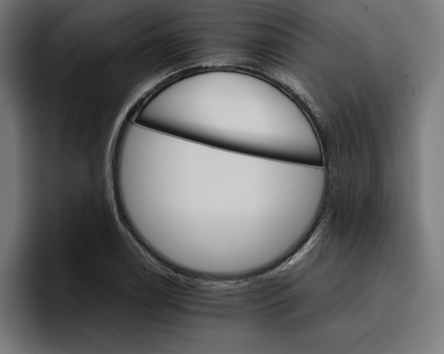 X0000096701122200802191443