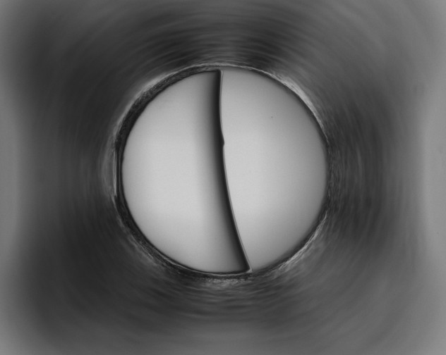 X0000096701123200802191443