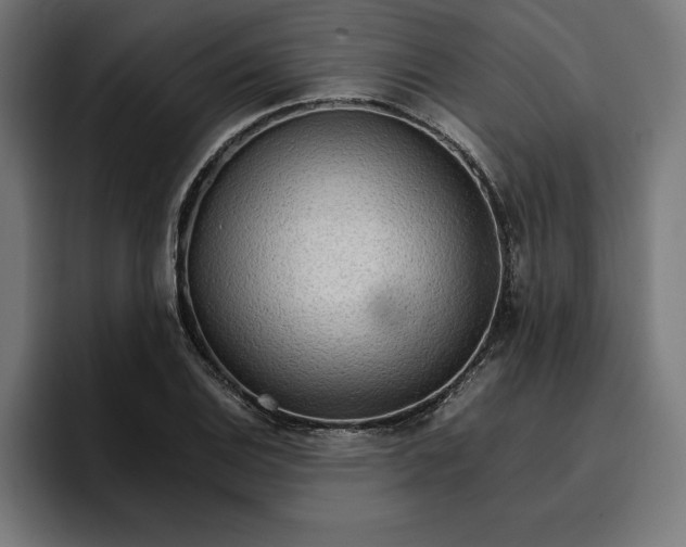 X0000096701124200802191443