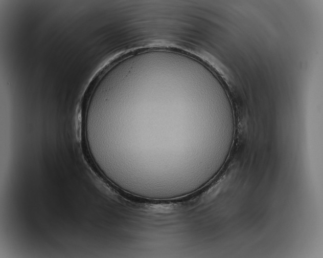 X0000096701126200802191443