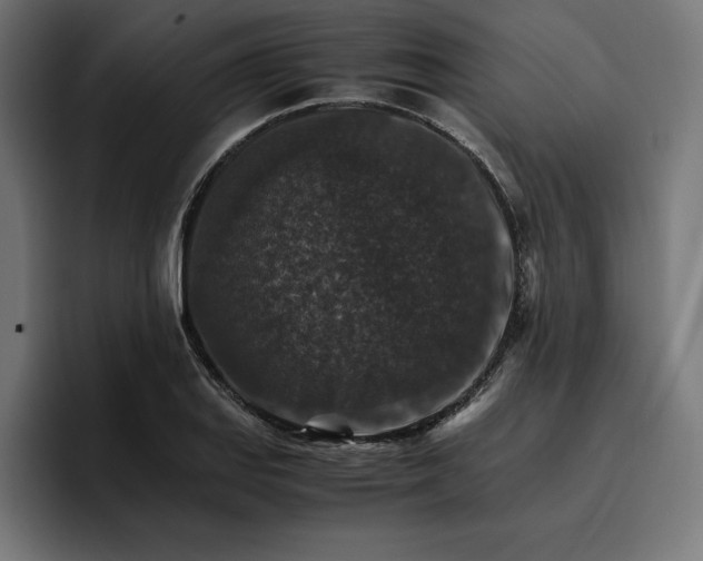 X0000096701127200802191443