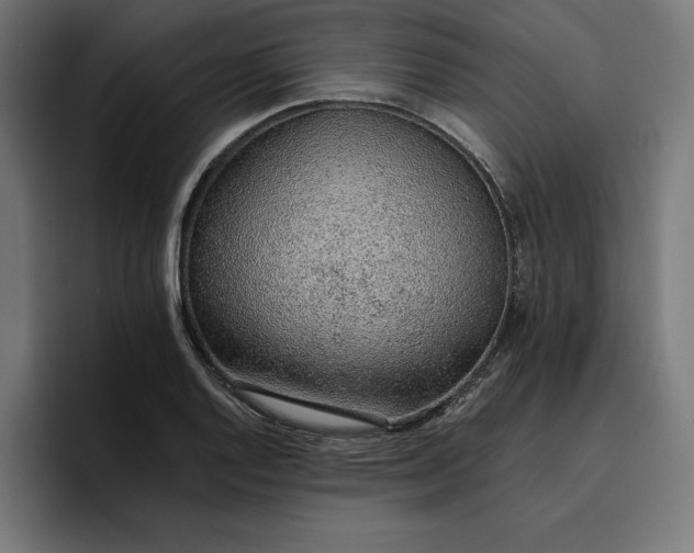X0000096701128200802191443