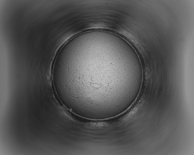 X0000096701129200802191443