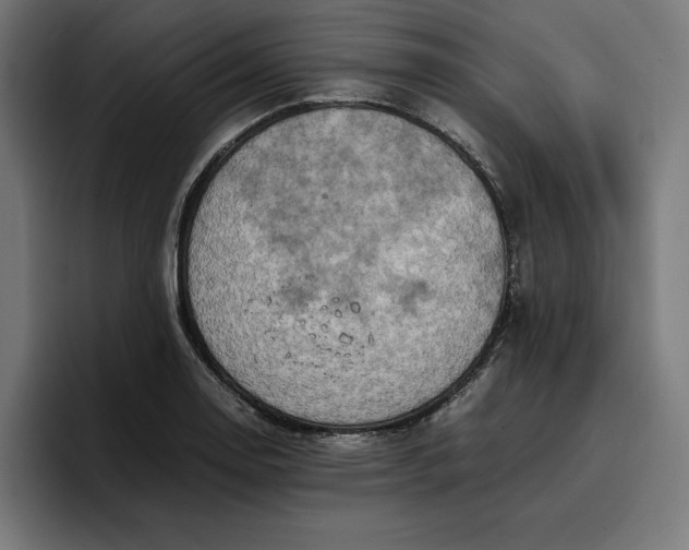 X0000096701130200802191443