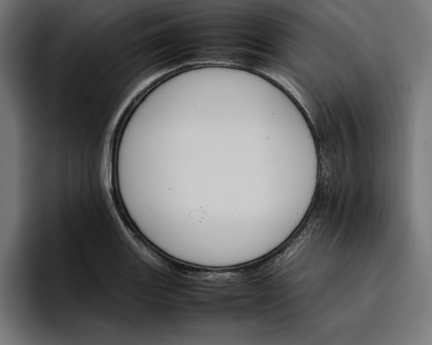 X0000096701131200802191443