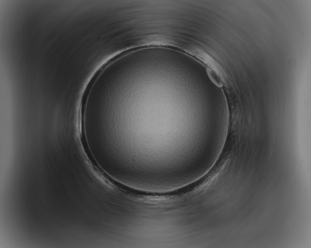 X0000096701132200802191443