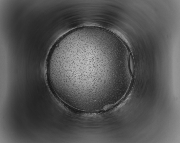 X0000096701133200802191443