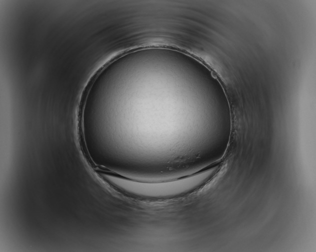 X0000096701134200802191443