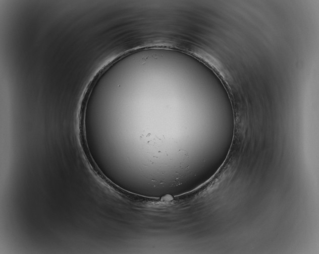 X0000096701135200802191443