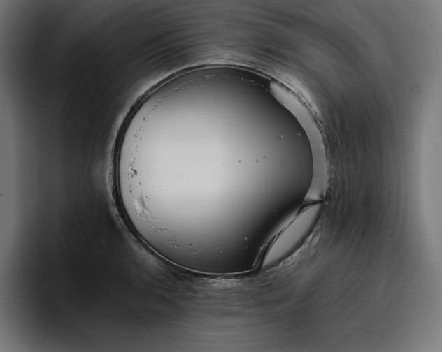 X0000096701136200802191443