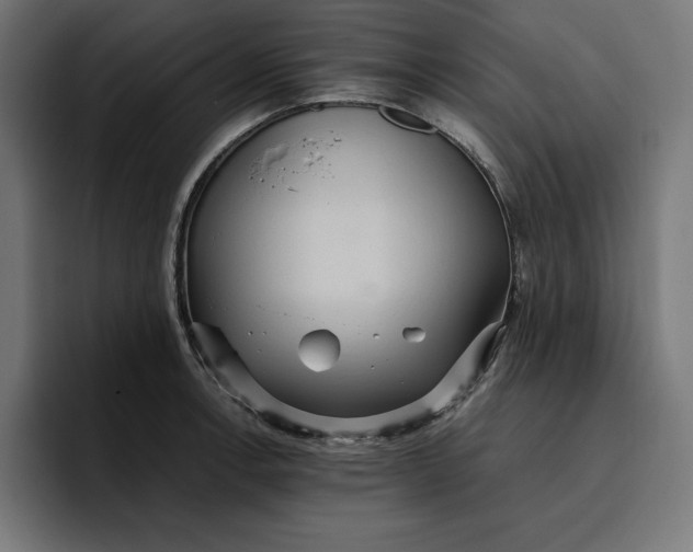 X0000096701138200802191443