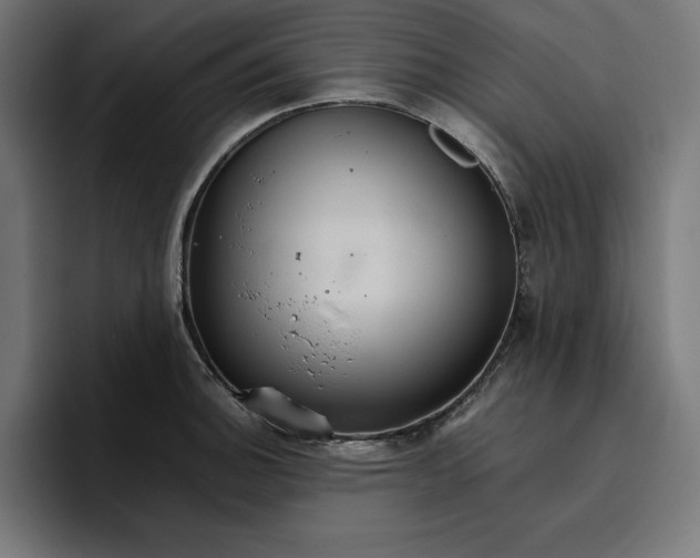 X0000096701140200802191443
