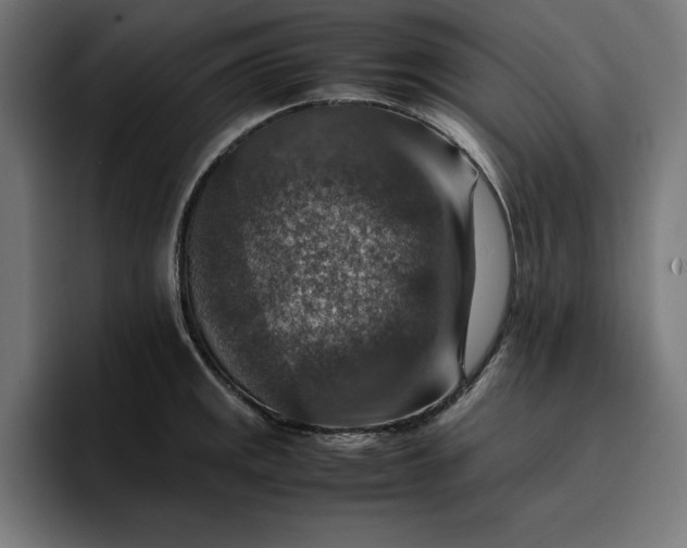 X0000096701141200802191443