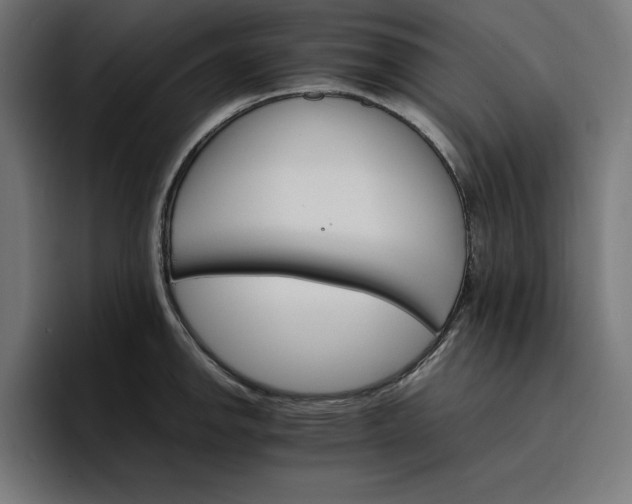 X0000096701142200802191443