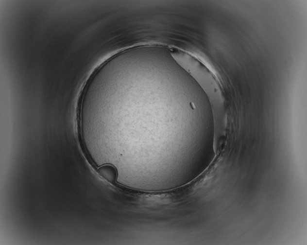 X0000096701143200802191443