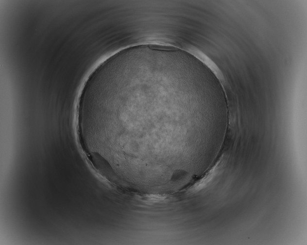 X0000096701144200802191443