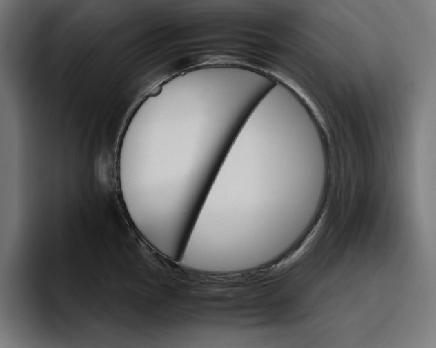 X0000096701145200802191443