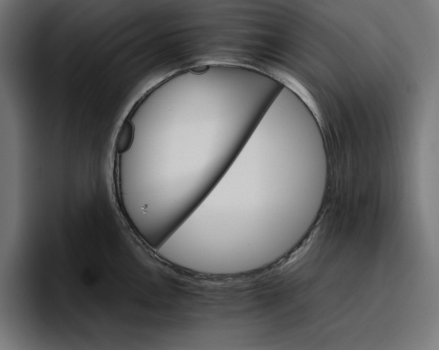 X0000096701146200802191443
