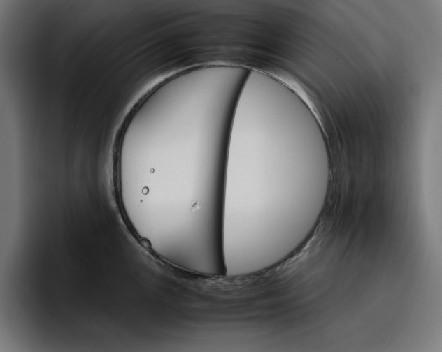 X0000096701147200802191443