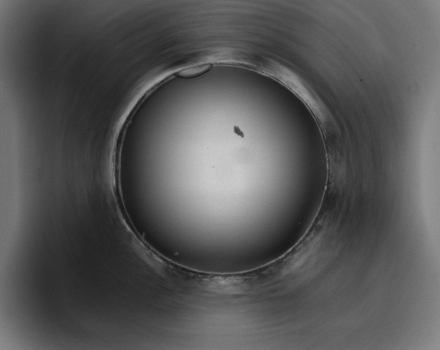 X0000096701148200802191443