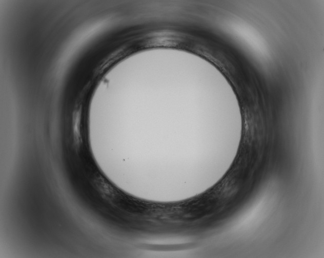 X0000096701150200802191443