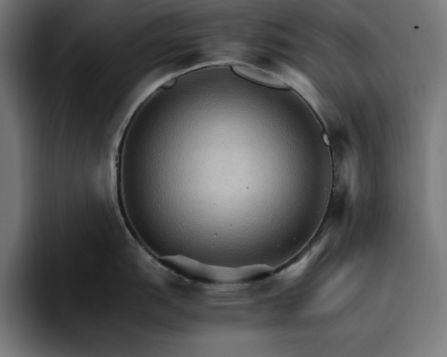 X0000096701151200802191443