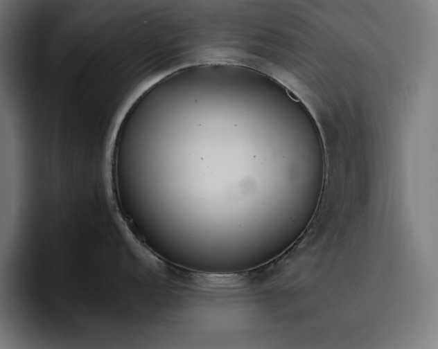 X0000096701152200802191443