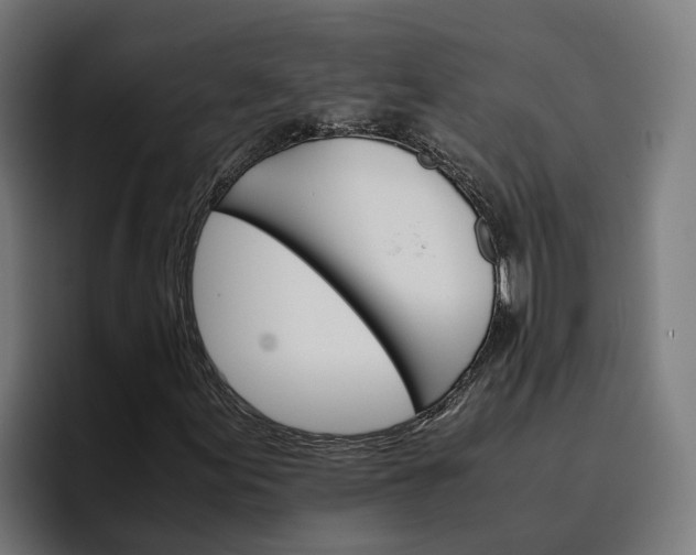 X0000096701155200802191442