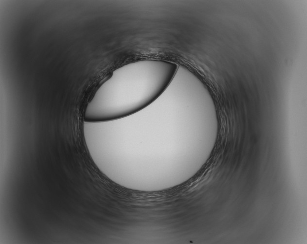 X0000096701156200802191442