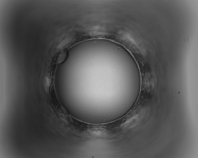 X0000096701157200802191442