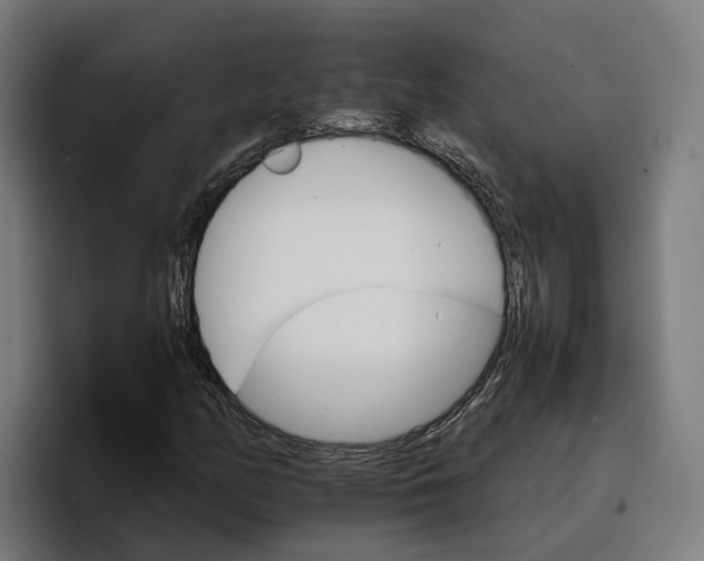 X0000096701158200802191442