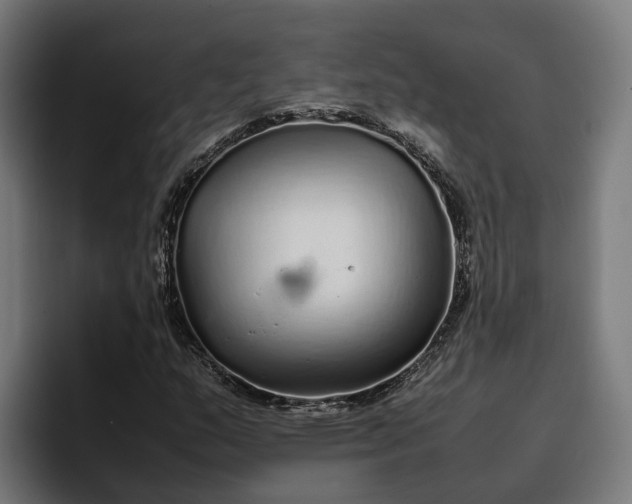 X0000096701159200802191442