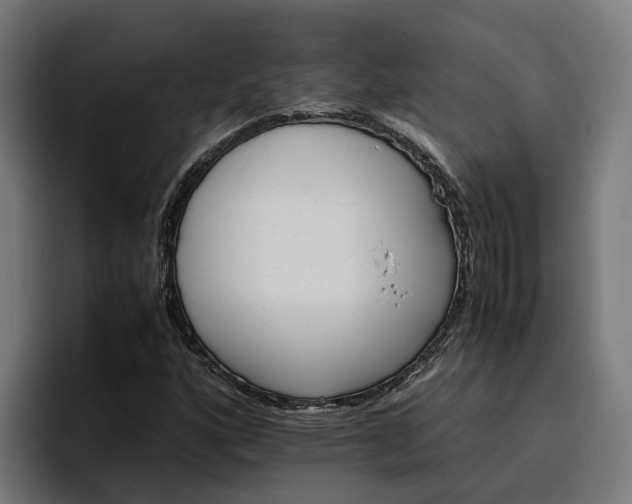 X0000096701160200802191442