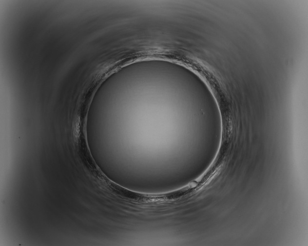 X0000096701161200802191442